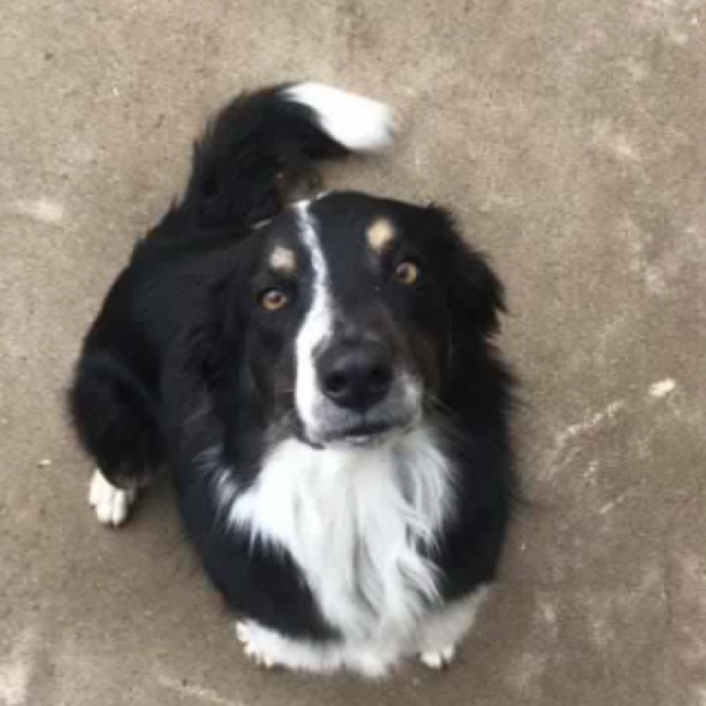 Meet your Posher, Rena